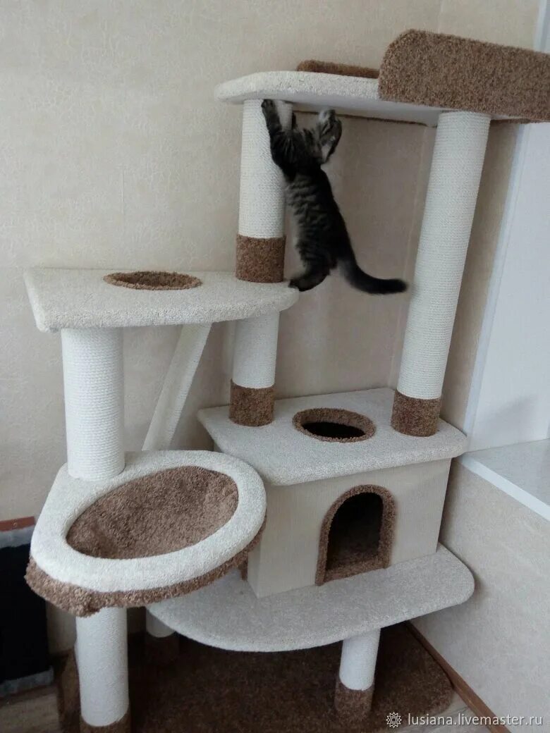 Игровой комплекс для мейн куна. Кошачий домик. Большие домики для кошек. Домик когтеточка h100*70*45см, домик d46см для мейн кунов кун-31-д кисмит. Кошачий комплекс для мейн куна.