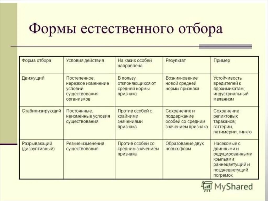 В каких формах проявляется естественный отбор