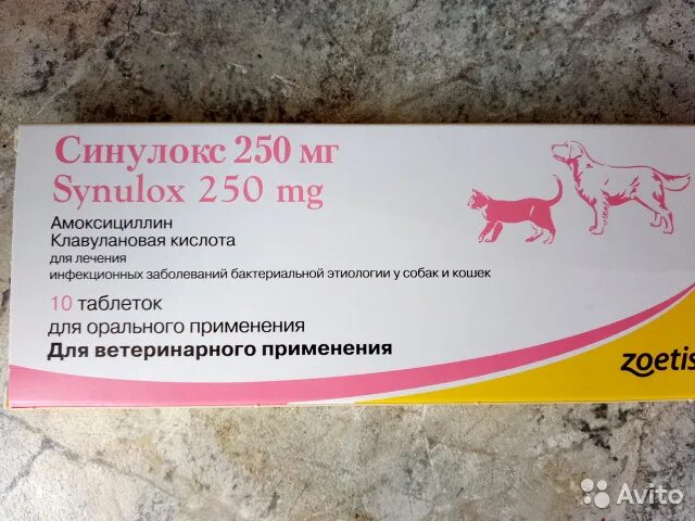 Синулокс для кошек таблетки 250 мг. Собачий антибиотик синулокс. Синулокс 50 мг таблетки. Синулокс 200.
