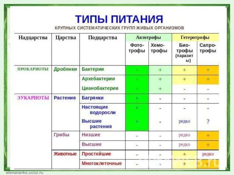 Типы питания живых организмов таблица. Классификация живых организмов по типу питания таблица. Биология Тип питания живых организмов таблица. Типы питания организмов таблица 10 класс биология. Какой тип питания имеет большинство