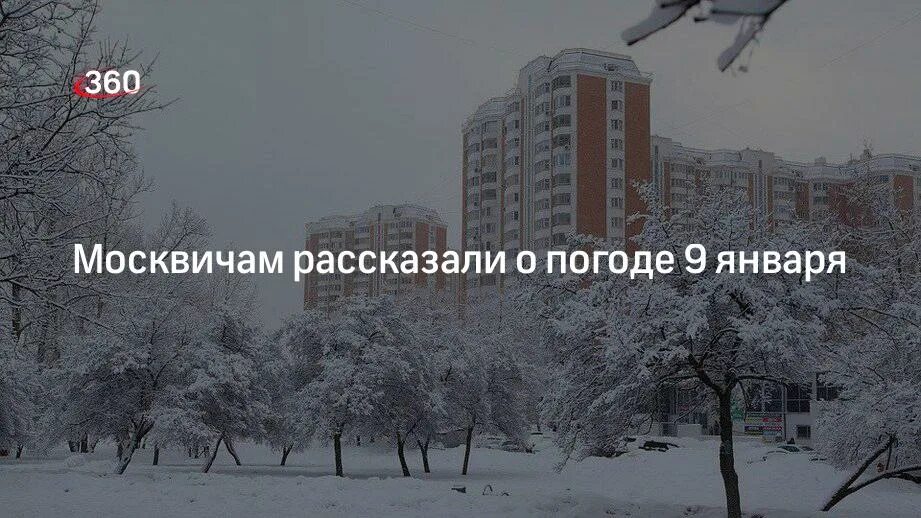 Погода в москве сегодня 2024 январь. Погода в москве. Погода в москве на сегодня. Снегопад в москве сегодня. Сугробы в москве.