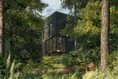 The forest house