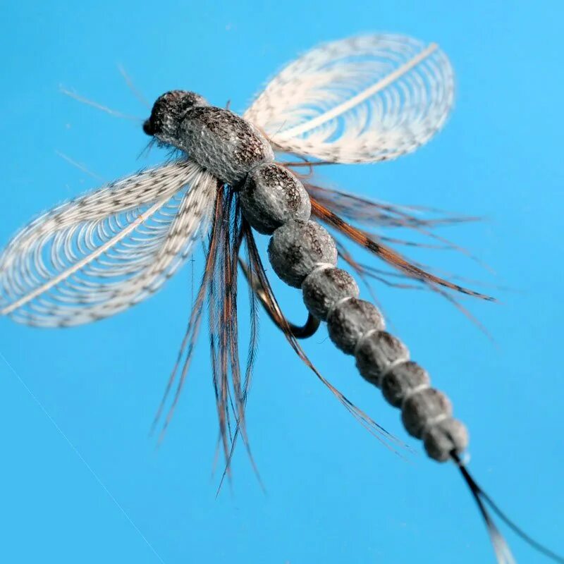 Раненая стрекоза. Муха поденка. Сухая мушка поденка. Нахлыстовая мушка личинка Стрекозы. Aeshna affinis Dragonfly.