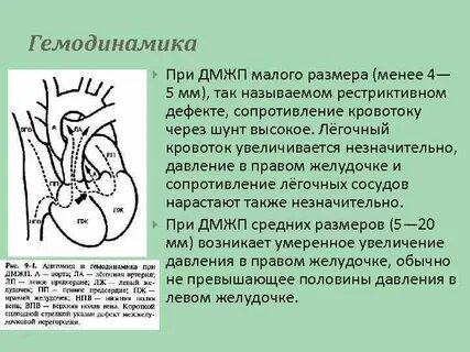 Дмжп дмпп