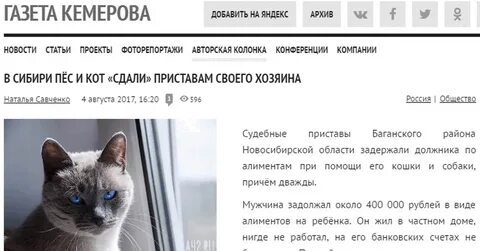 Сдать кота