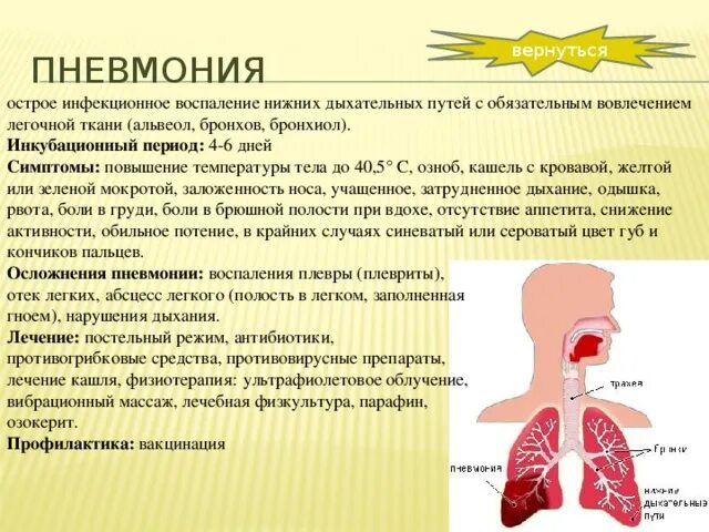 Тест заболевания верхних дыхательных путей. Профилактика пневмонии у детей. Заболевания дыхательных путей. Острые заболевания органов дыхания.