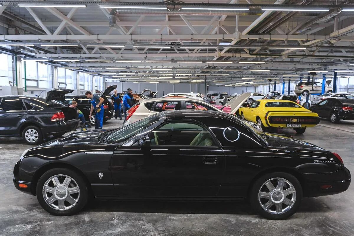 Куда деваются непроданные новые автомобили. Склад непроданных автомобилей в россии. Куда деваются непроданные телефоны. Парковки непроданных машин. Куда деваются автомобили.