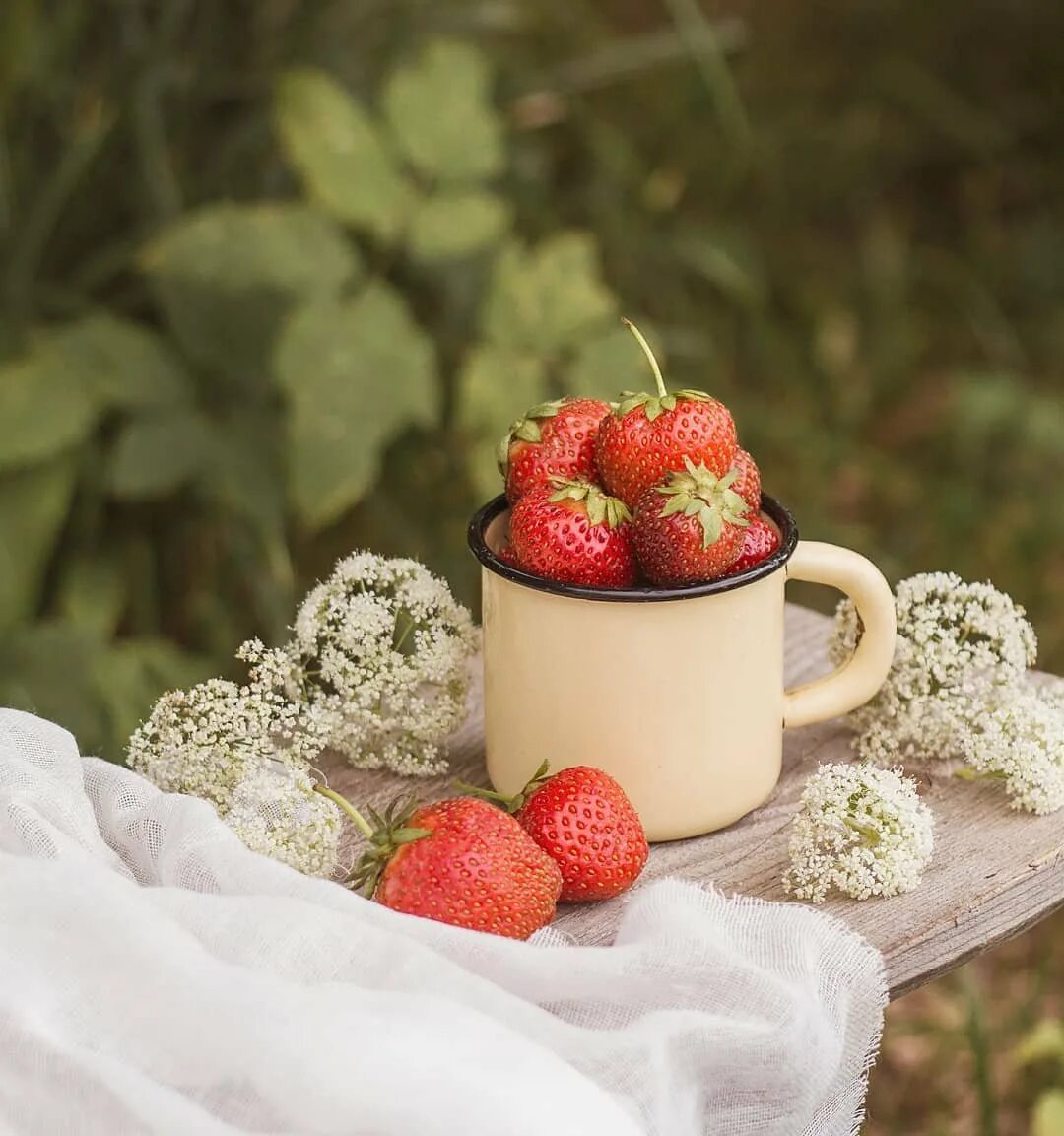 доброе утро ягоды. клубника. лето ягоды. кофе ягоды цветы. морс малина ежевика.