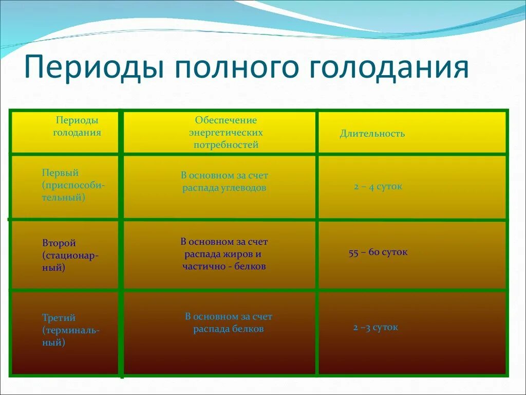 Периоды полного голодания. Стадии полного голодания. Фазы полного голодания. Голодание стадии этапы. Голод правила