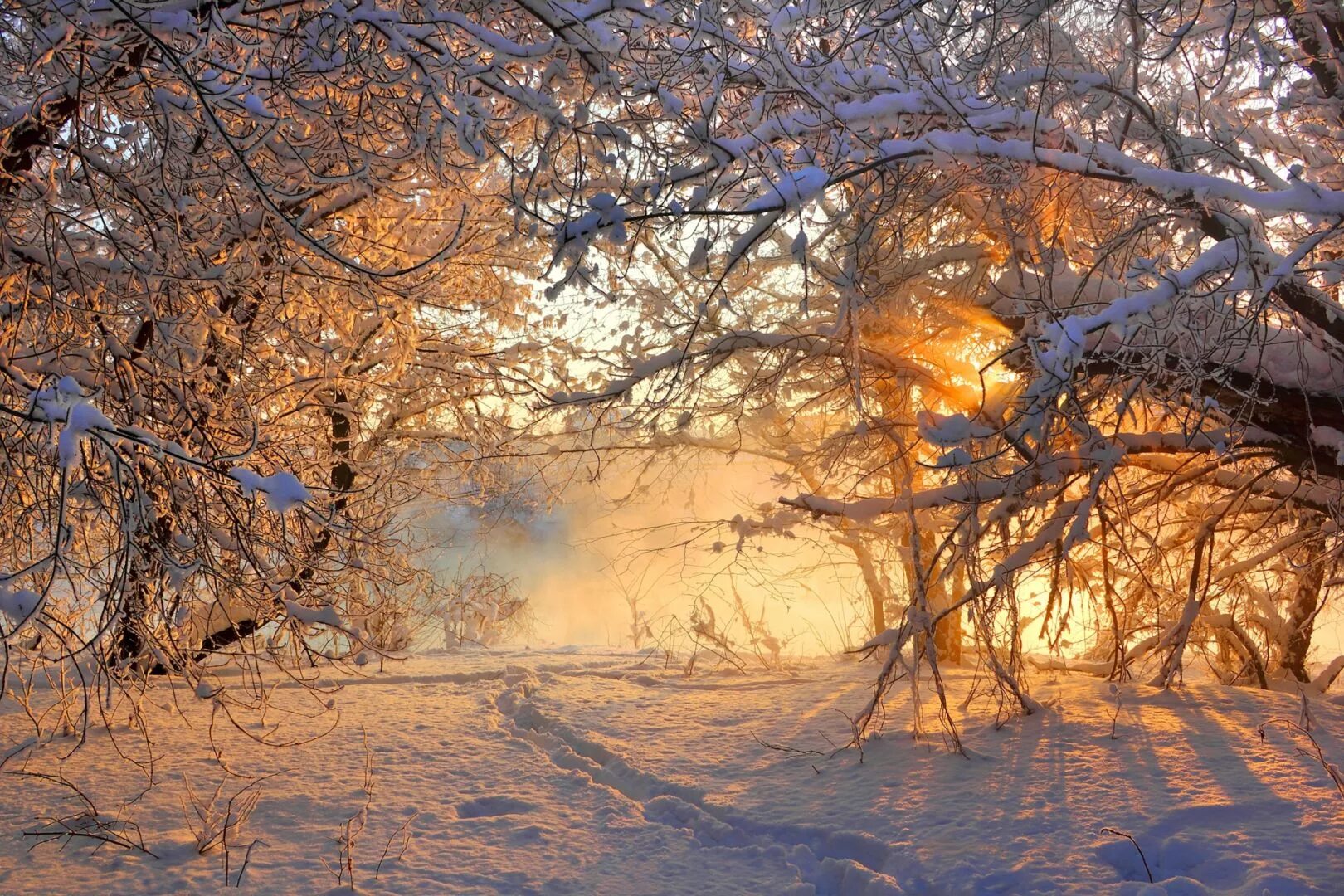 Красивое солнце зима