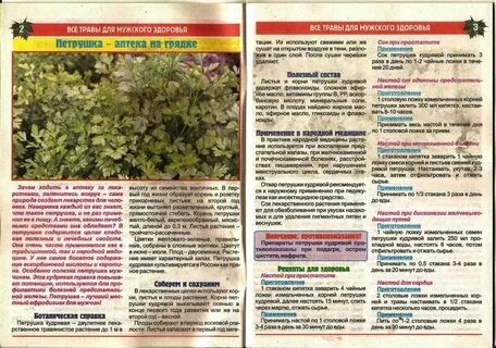 Полезные травы список лучших