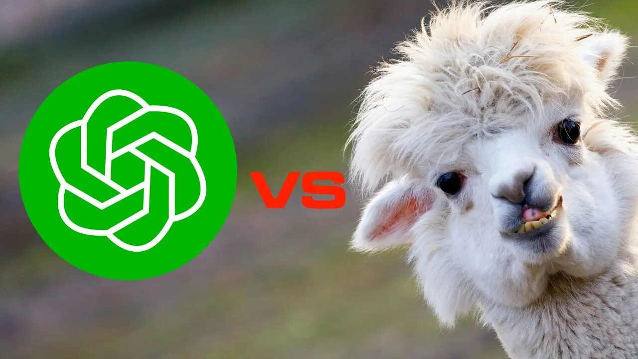 Llama web. Llama web