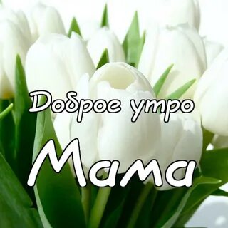 Открытки доброе утро юля