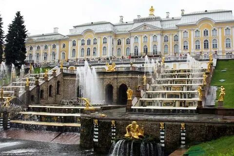 Петергоф спб адрес
