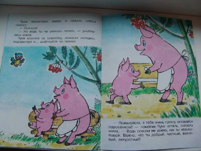 Сказку чуня. Поросёнок чуня книжка. Сказку чуня. Чуня е карганова. Поросенок чуня книга.