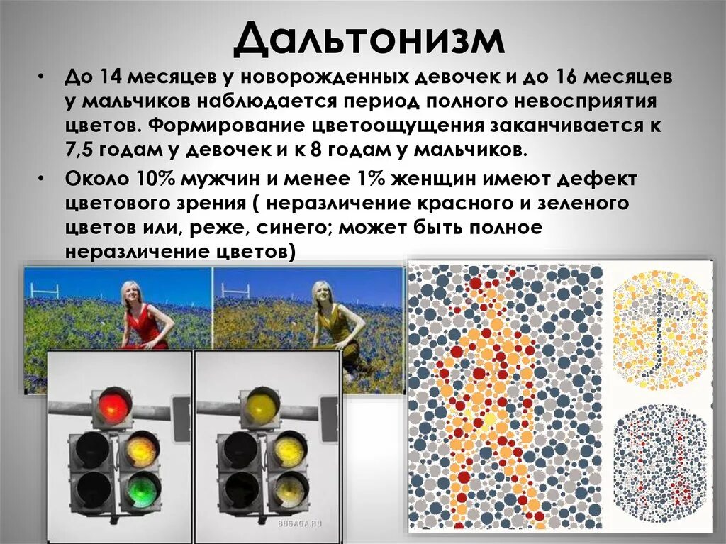Цветовое зрение физиология