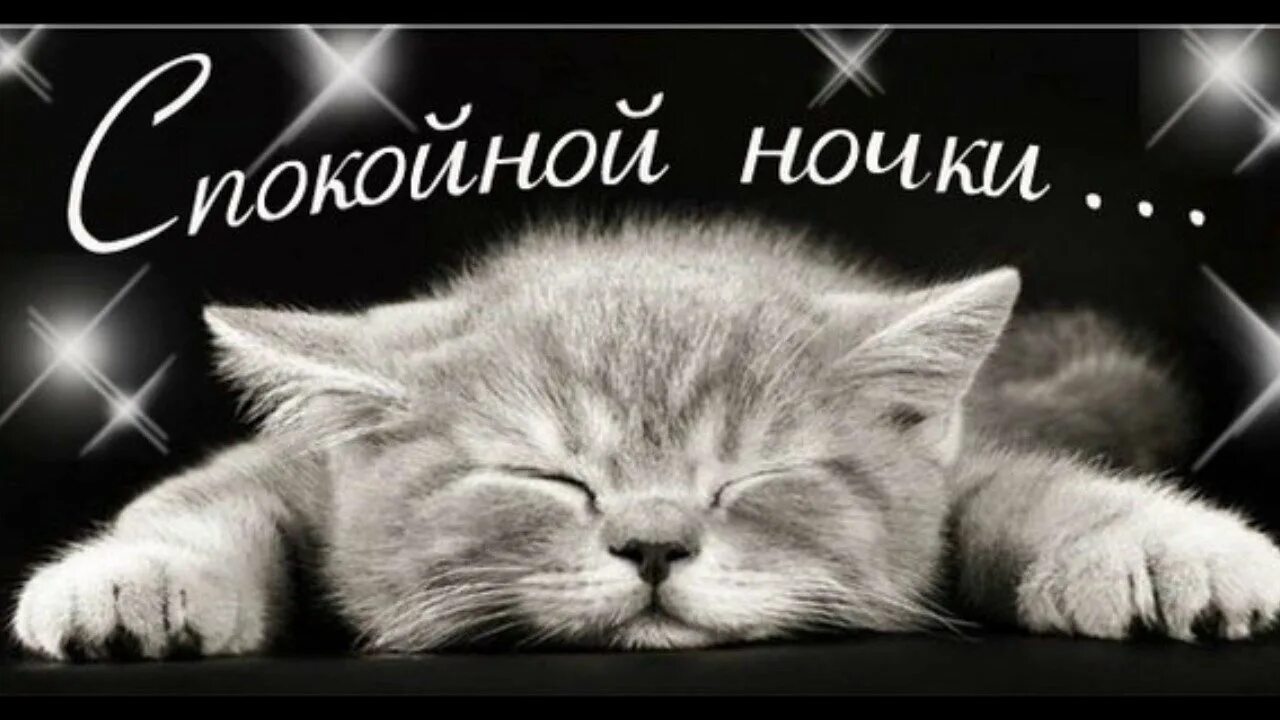 Спокойной ч. Спокойной ночи. Сладеньких снов. Котенок. Спокойной ночи!. Спокойной ночи котики.