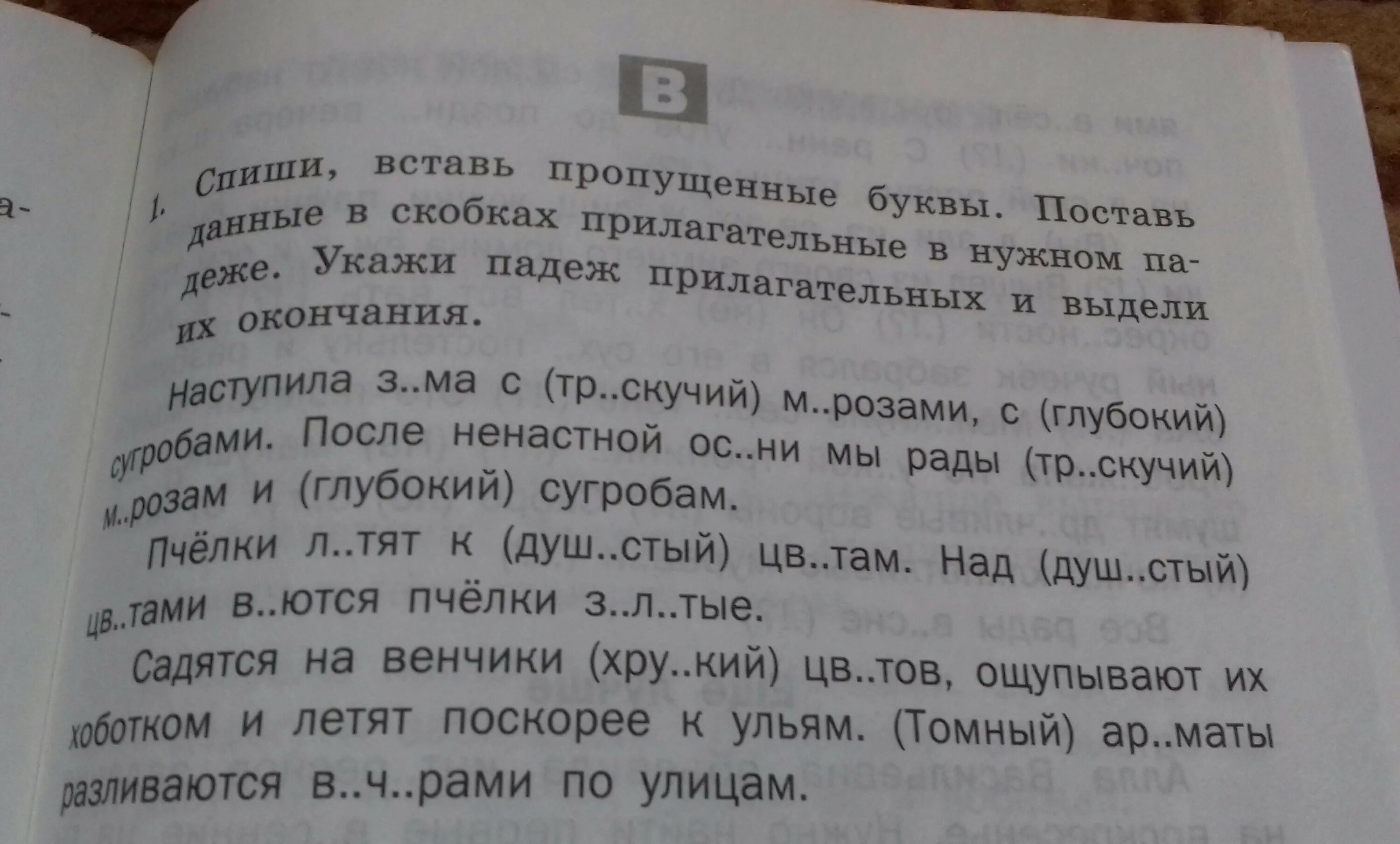 Все слова находящиеся в скобках. Вставь пропущенные буквы. Вставить пропущенные буквы в прилагательных. Вставь пропущенную букву и определи падеж прилагательных. Прилагательные вставить пропущенные буквы.