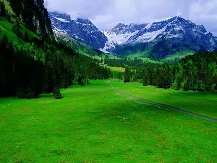 Beautiful nature