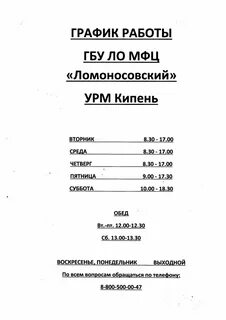 Мфц ломоносов режим работы