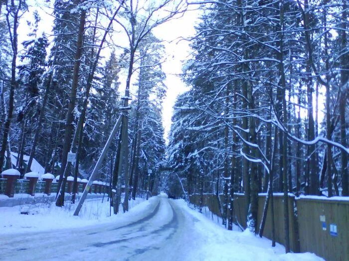 переделкино дачи писателей. городок писателей переделкино. музей бориса пастернака в переделкино. дача пастернака в переделкино. новопеределкино дом писателей.