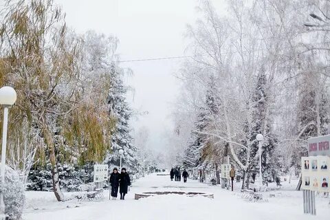 Волгоградская область зимой