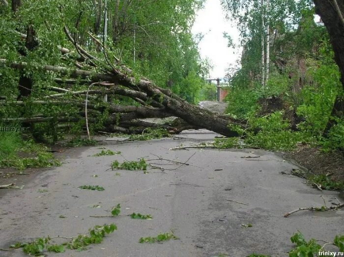 Ураган в киргизии. Ураган Ступино. Смерч в Колпино. Ураган в Ленинградской области 2010 Сосново. Последствия урагана в Томске.