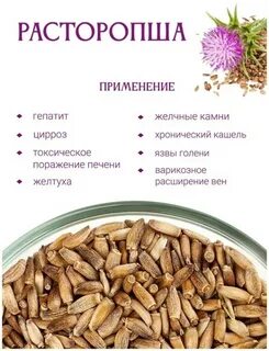 Расторопша пятнистая польза