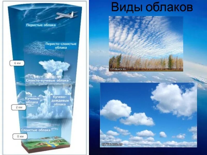 Тема облака 6 класс. Виды облаков. DLS J,kfrjd. Основные типы облаков. Макет виды облаков.