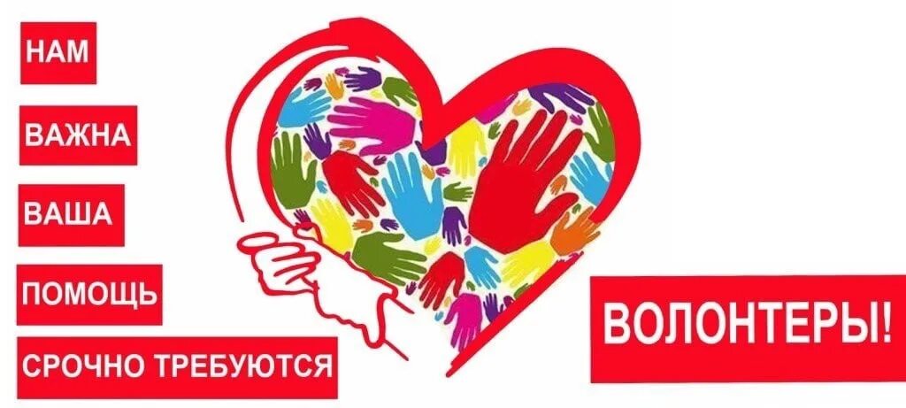 Требуются волонтеры. Ищем волонтеров. Набор волонтеров. Нам нужны волонтеры. Нужна помощь волонтеров