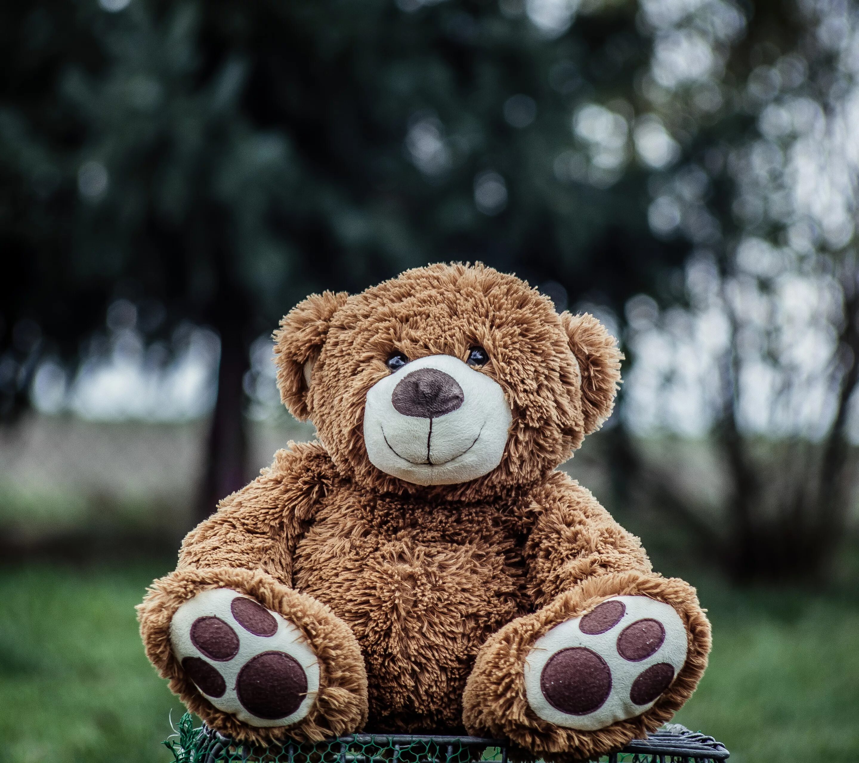 I m teddy bear. Плюшевый мишка. Плюшевый медведь улыбается. Медвежонок с улыбкой. Самые красивые плюшевые мишки.