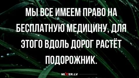 Расти дорогой