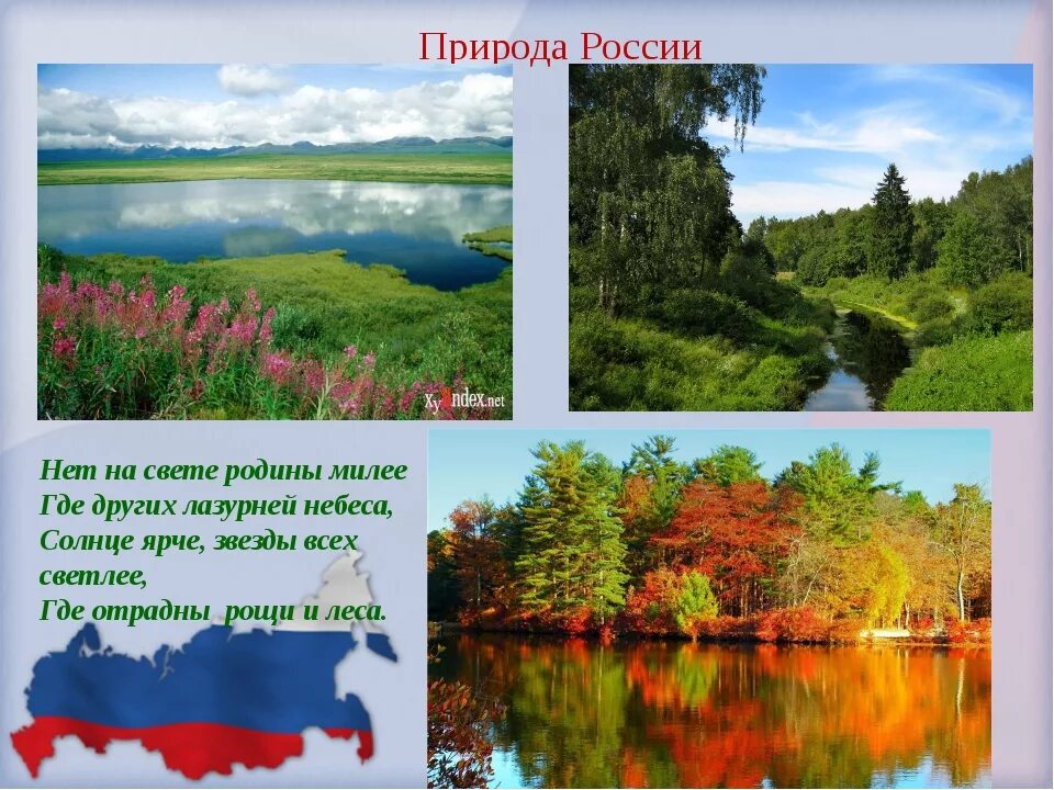 Информация природа россии. Природа нашей Родины. Презентация на тему природа России. Разнообразие природы России. Проект природа России.