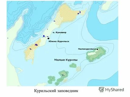 Южно курильская зона