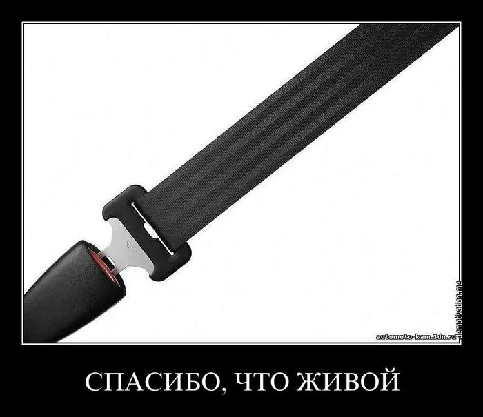 Ремня ему хорошего. Ремня ему хорошего