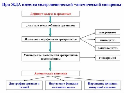 Анемический синдром при лейкозе