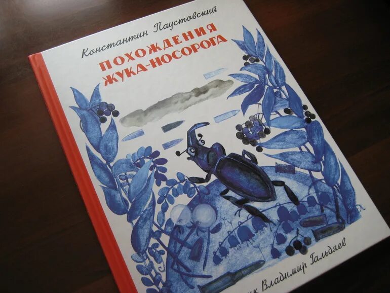 Жук носорог книга. К Г Паустовский похождения жука-носорога. Жук носорог Паустовский. Сказка к г Паустовского похождения жука носорога.