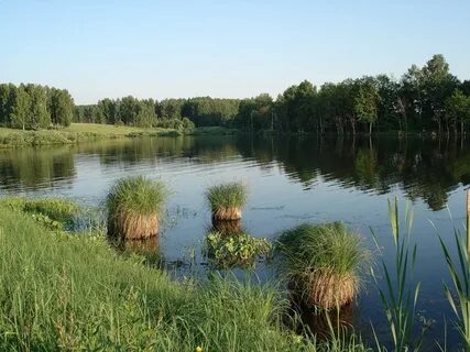 Деревня богородск