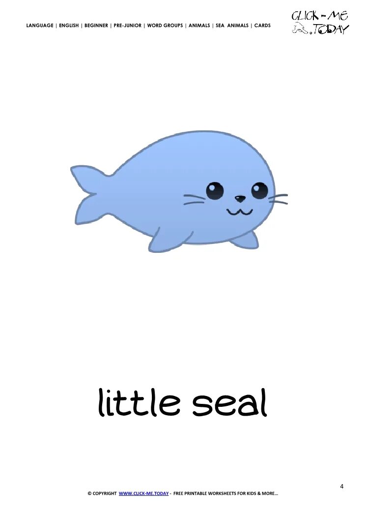 Как будет по английскому морская. Тюлень по английски. Морской котик на английском. Тюлень на англ. Морской котик по английс.