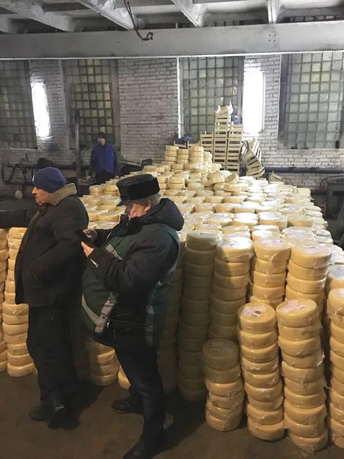 20 тонн сыра. Тонна сыра. сыр из литвы. сыр челябинский.