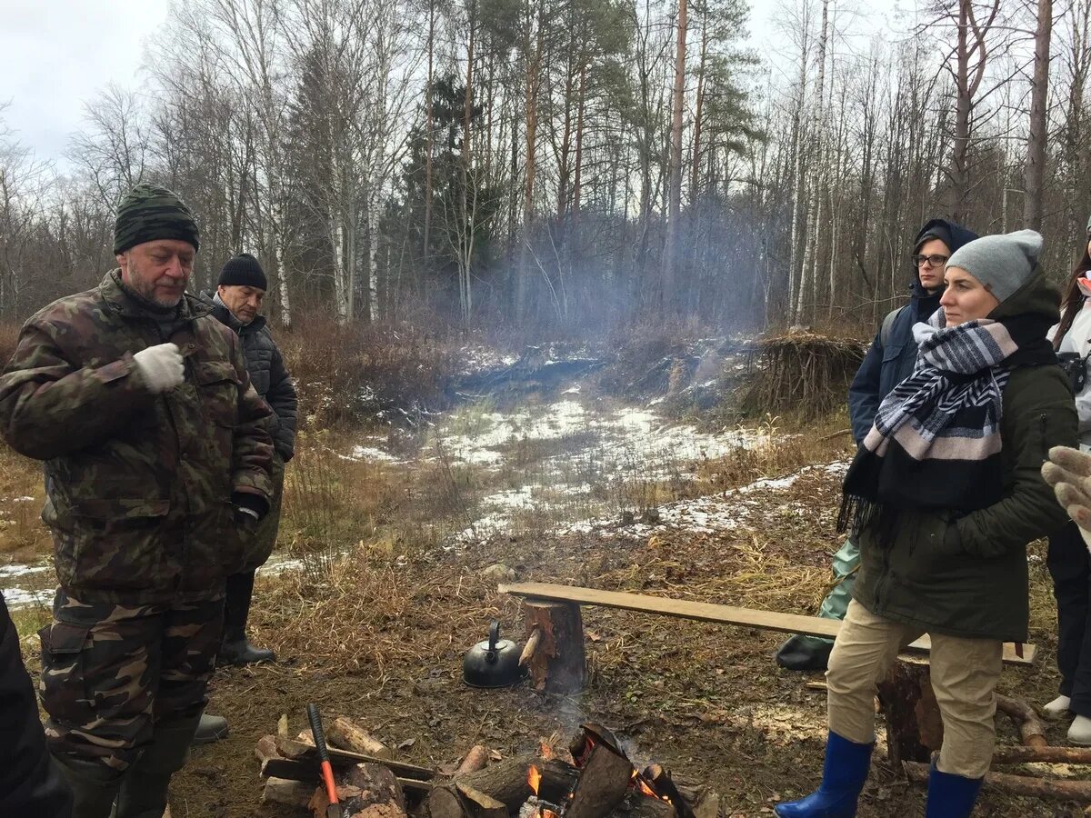 Уровень воды в ветлуге шарья на сегодня. Ветлужские леса.