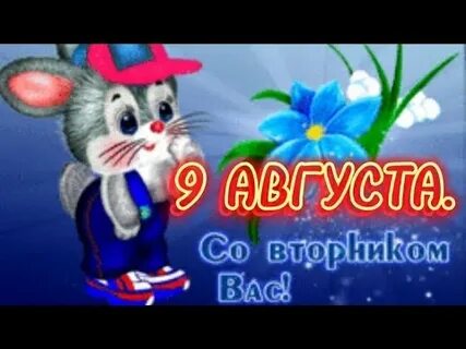 Вторник видео