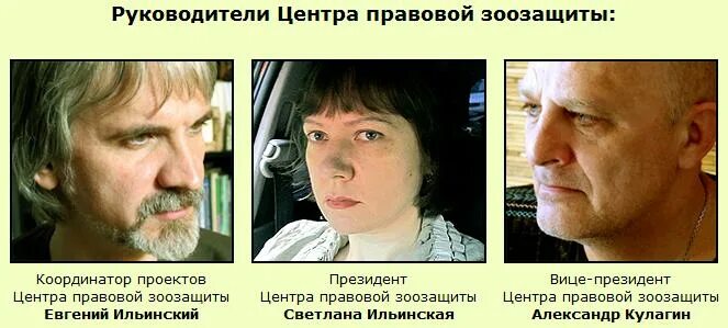 ильинская светлана зоозащиты. александр кулагин центр правовой зоозащиты. светлана ильинская зоозащита. светлана ильинская зоозащита. центр правовой зоозащиты.