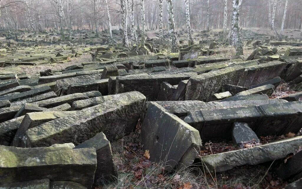 Разрушенные кладбища. Еврейское кладбище Варшавы. Еврейское кладбище в Польше. Уничтожено польское кладбище Харьков. Новое еврейское кладбище (Вроцлав).