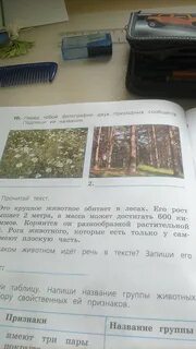Подпишите названия природных сообществ