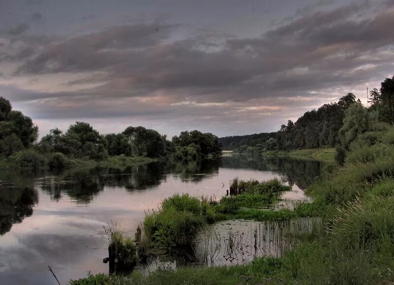 звенигород москва река пляж. речка в козино красногорский район. вода в москве реке звенигород. козино звенигород. саввино сторожевский монастырь река.