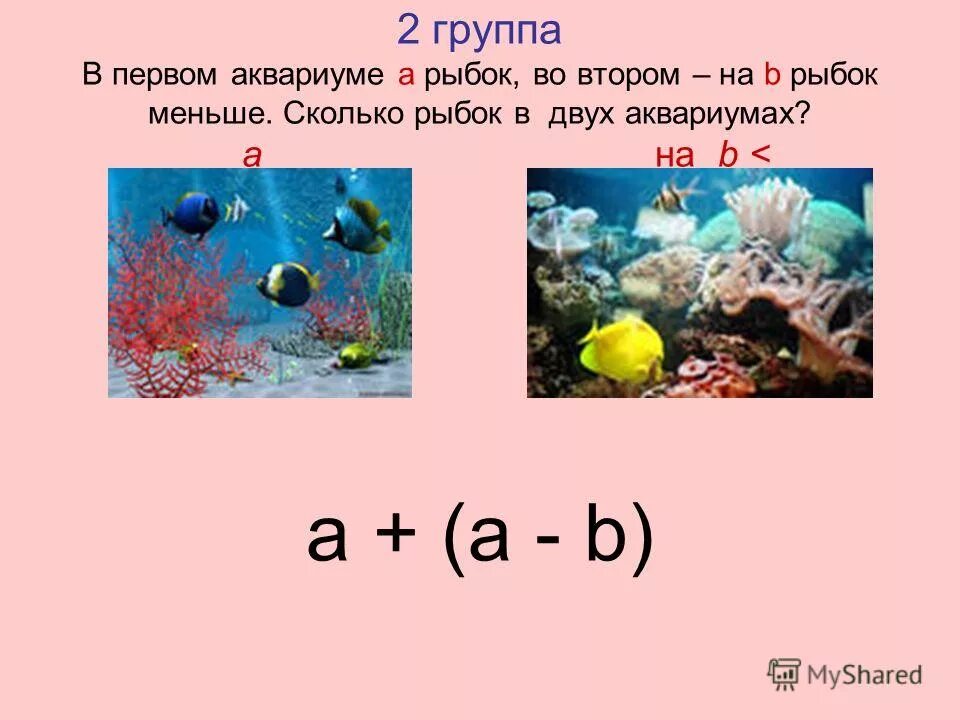 В 7 аквариумах было поровну рыбок. Сколько рыбок в аквариуме. Математика 5 класс задачи про рыб в аквариуме. Задача по математике с аквариумом. Задача в аквариуме 3 рыбки.