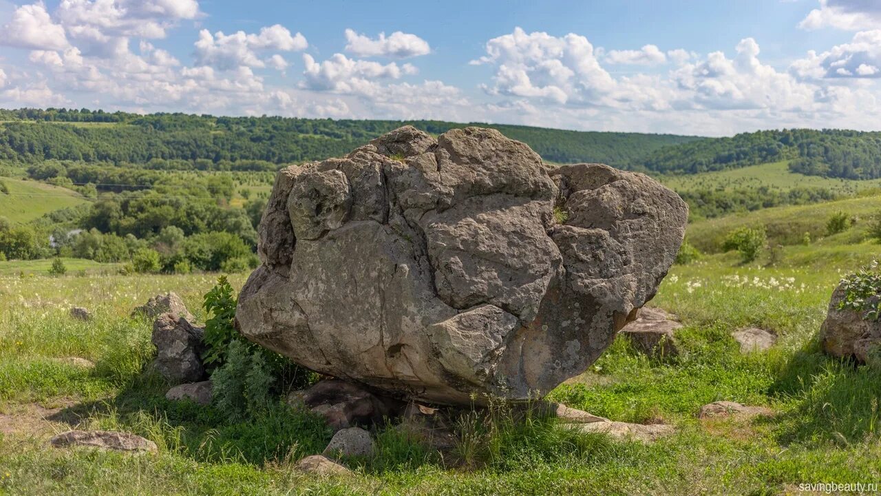 Конь камень в ефремове. Конь-камень и мегалиты. Каменный конь тульская история. Конь камень ефремовский. Тульская швейцария и конь-камень.
