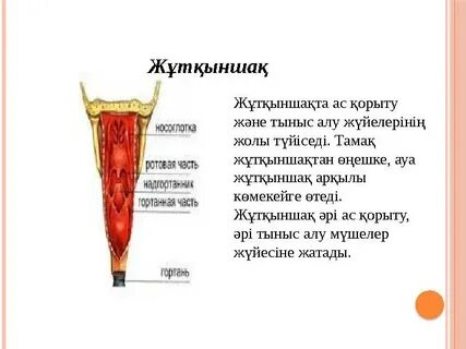 Секс видео анасы баласын жазалады