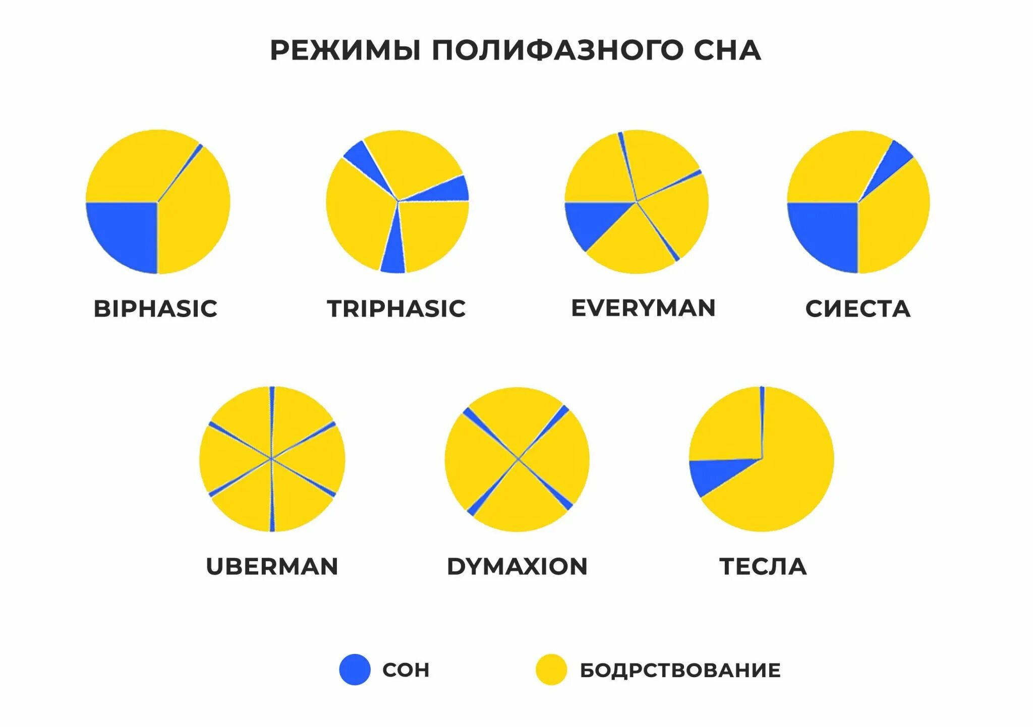 Полифазный сон Dymaxion. Режим сна. Схемы полифазного сна. Графики сна.